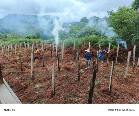 Pembersihan Kebun RT 02